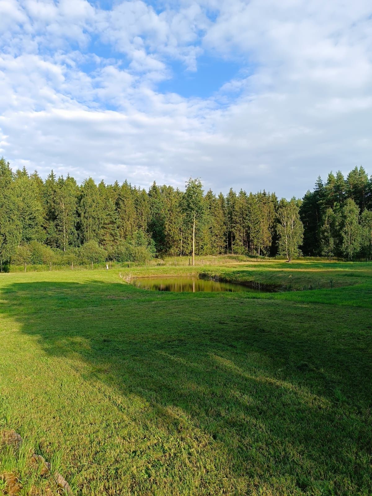 Ziemia rolna 11 hektarów przy lesie, mazury , działki rekreacyjne