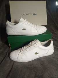 Buty Lacoste Lerond rozmiar 44 ,5 wkładka 28 cm skórzane białe trampki