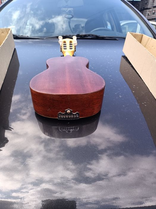 Cavaquinho de oito cordas artmusica