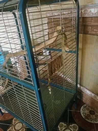 Продам вальер (для большого папугая)