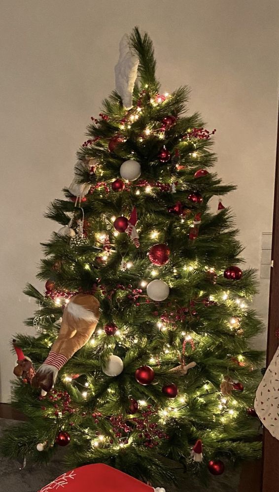 Arvore de Natal.