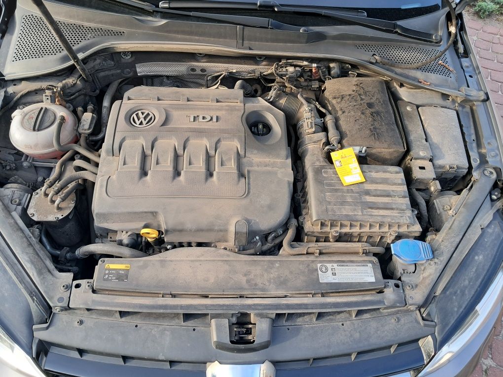 Volkswagen Golf 1,6 TDI  Salonowy,Bezwypadkowy