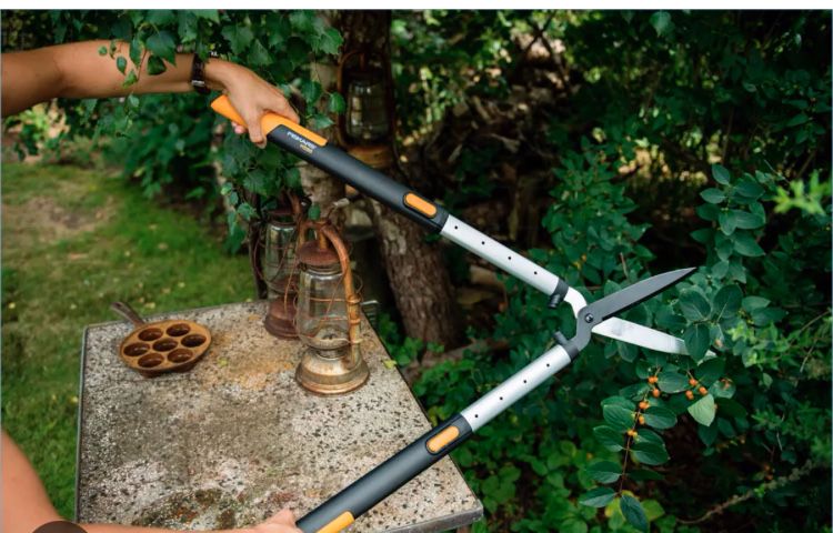 САДОВНИК-Уборка сада,стрижка, оформление клумб,лечение туй