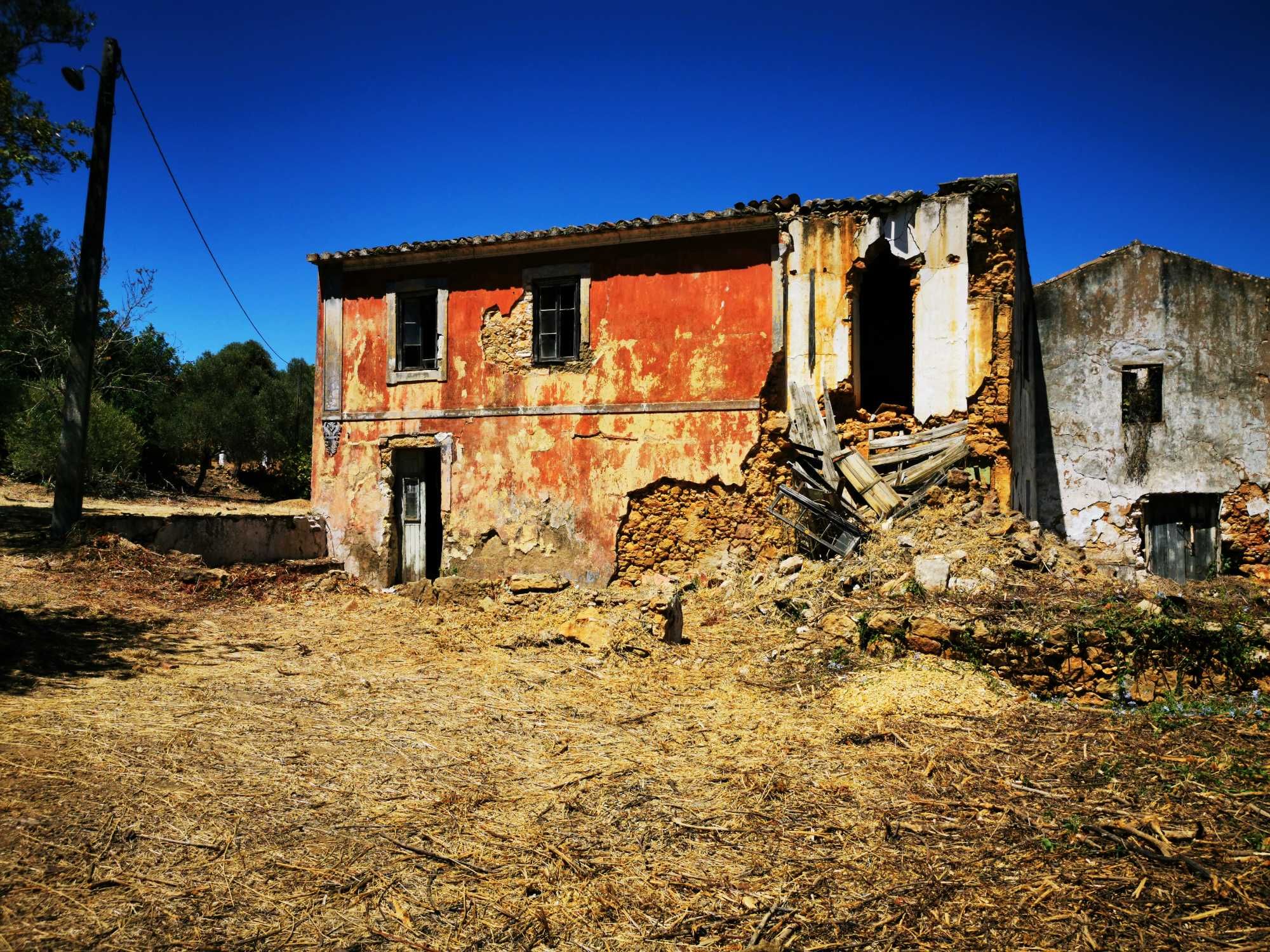 Limpeza de terrenos,desmatações /Landscape clearance,landscape changes