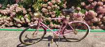 Bicicleta vintage cor-de-rosa