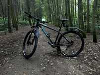 Rower Trek X-Caliber 7