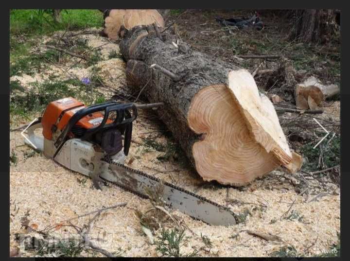 Обрізання та спилювання дерев