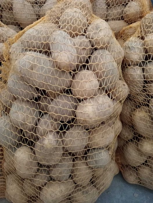 ziemniaki soraya jadalne żółte