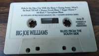 Blues from the south side Big Joe Williams