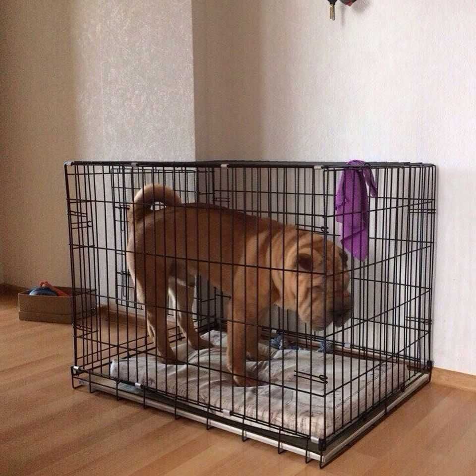 Клітка для собак та котів S-XXL, переноска вольер дом место для собак