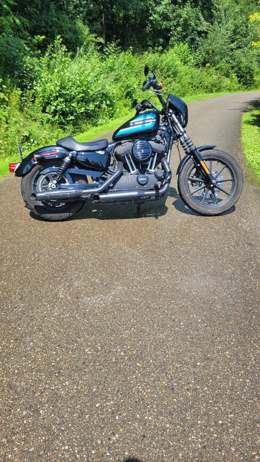 Harley - Davidson FXE
