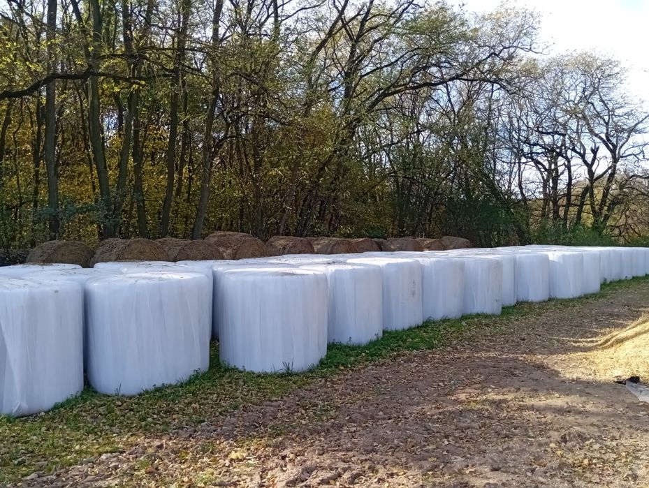 Sprzedam siano kieszonkę