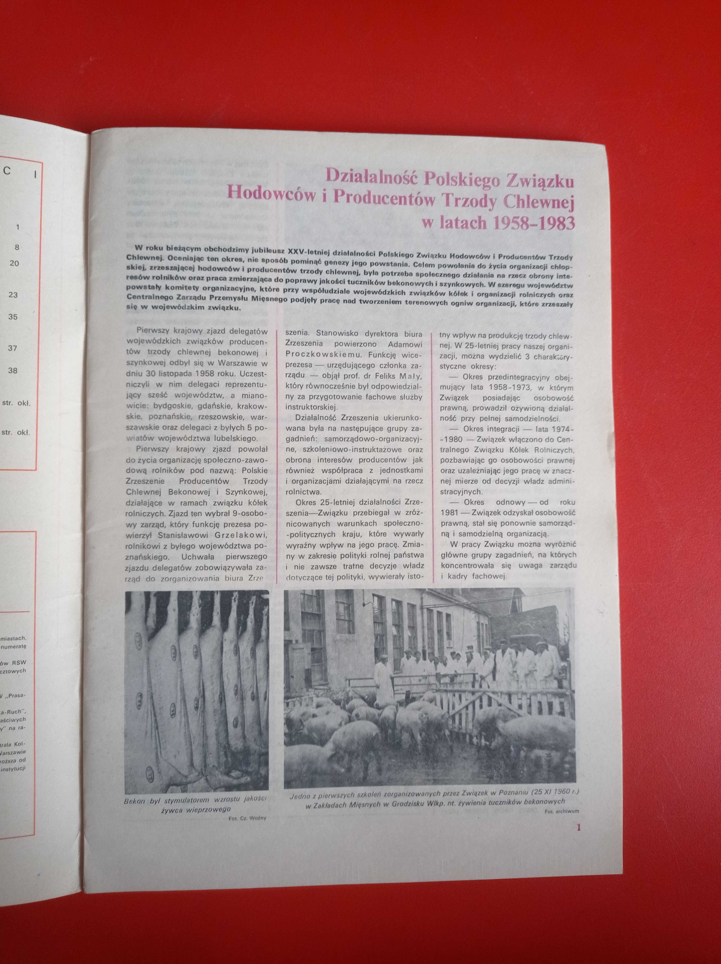 Trzoda chlewna, czasopismo, nr 11-12, listopad-grudzień 1983