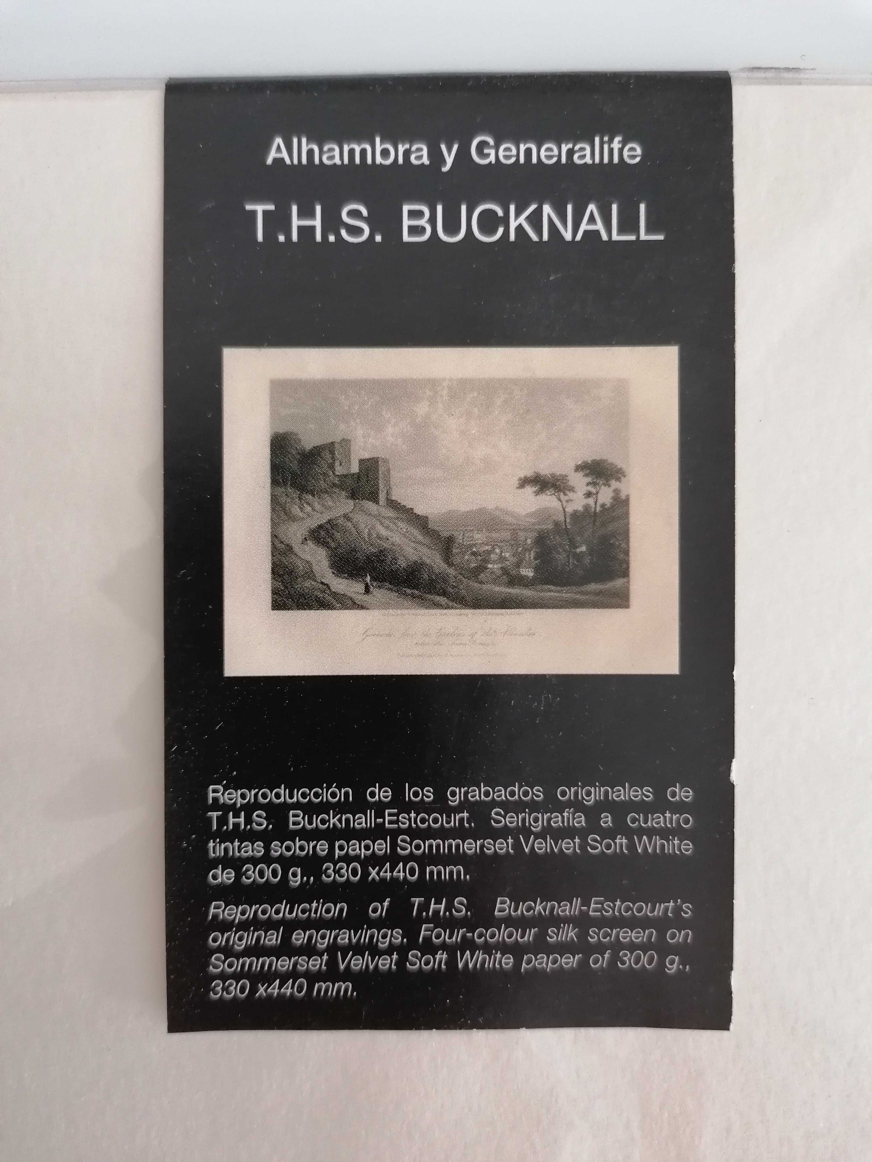 Reprodução de T. H. S. Bucknall da Alhambra