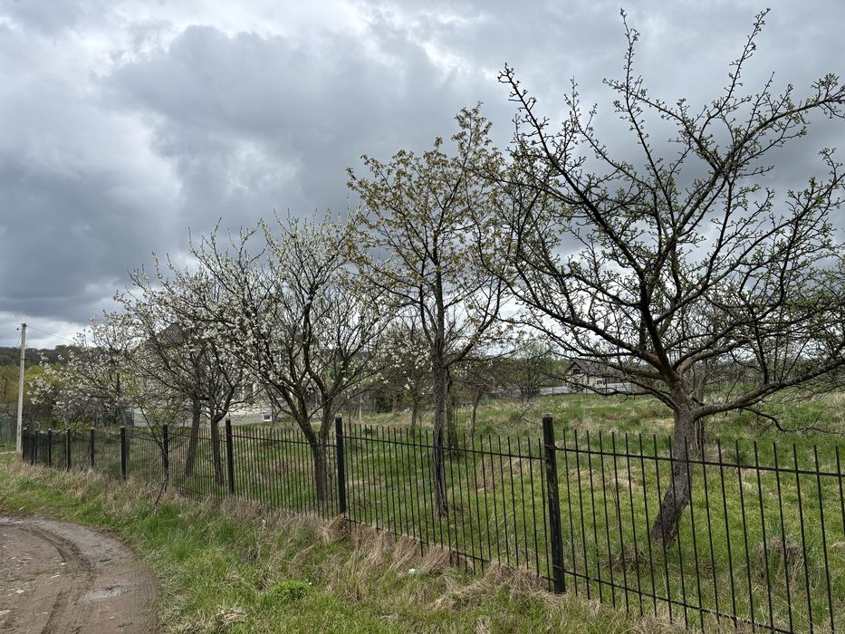 Земельна ділянка Болехів