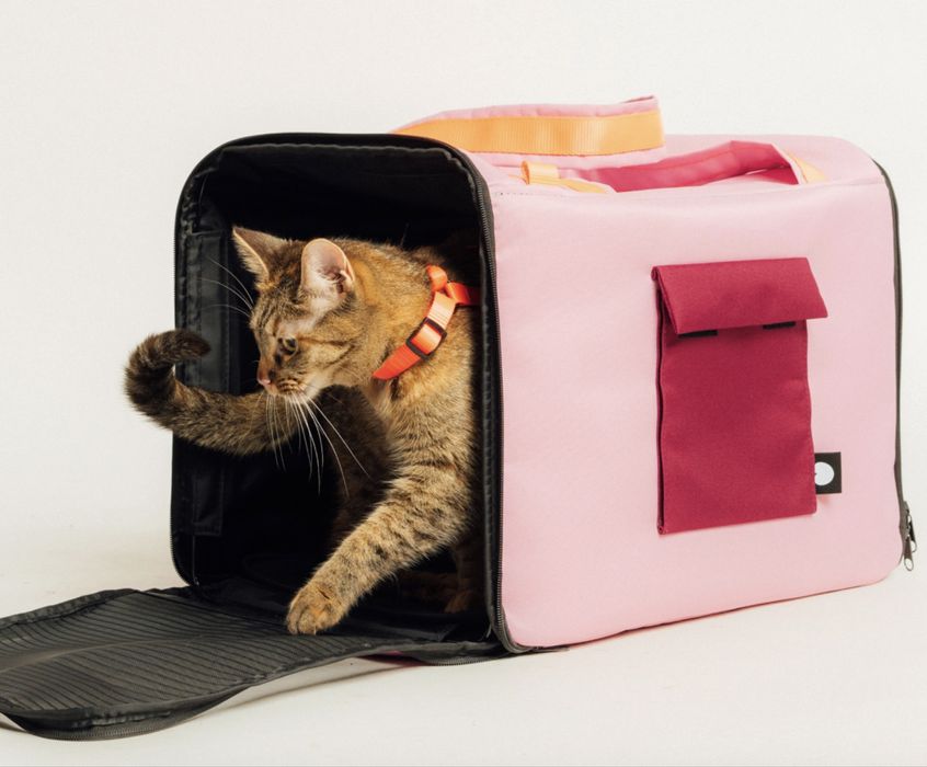 Transporter Homie Orange Protekt Animals dla kota lub psa