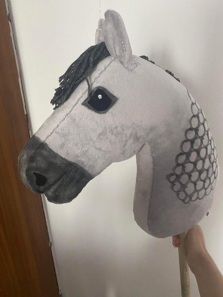 Hobby Horse Sport