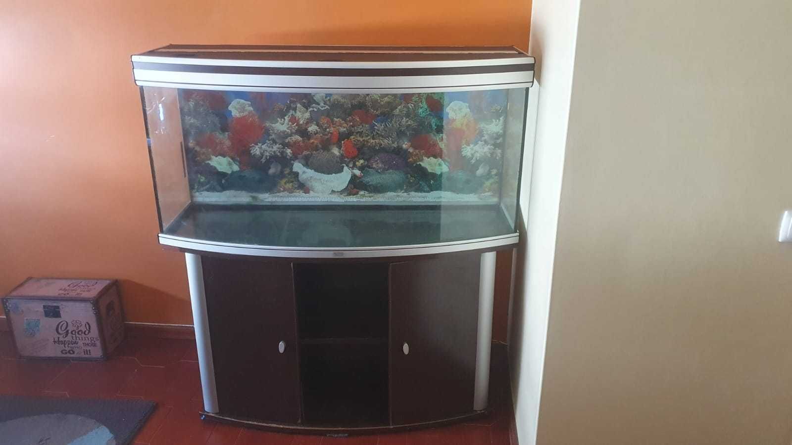 Vendo Aquário de Peixes Grande completo - Mega Promoção
