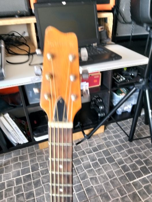 Viola Acústica 35 anos