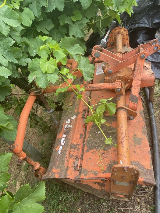 Frese japonesa de 1,5mts