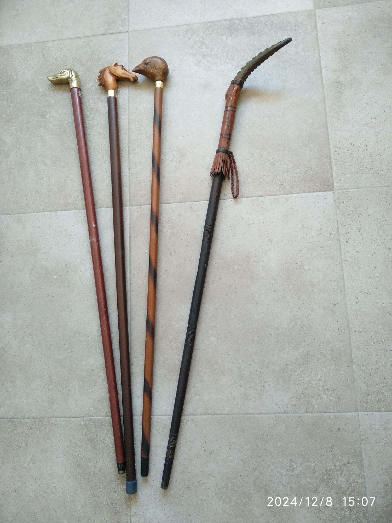 Coleção de bengalas
