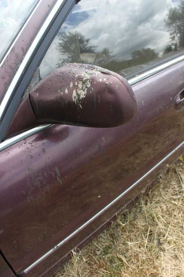 Mitsubishi Sigma 3.0 v6 exe