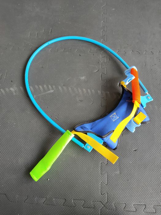 Obroża ochrona niewidomy niewidomego psa