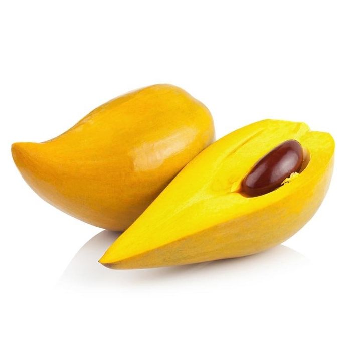 Plantas de canistel Enxertado