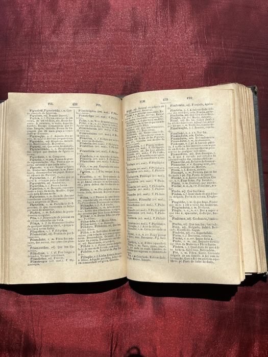Dicinario da lingua portuguesa 1919