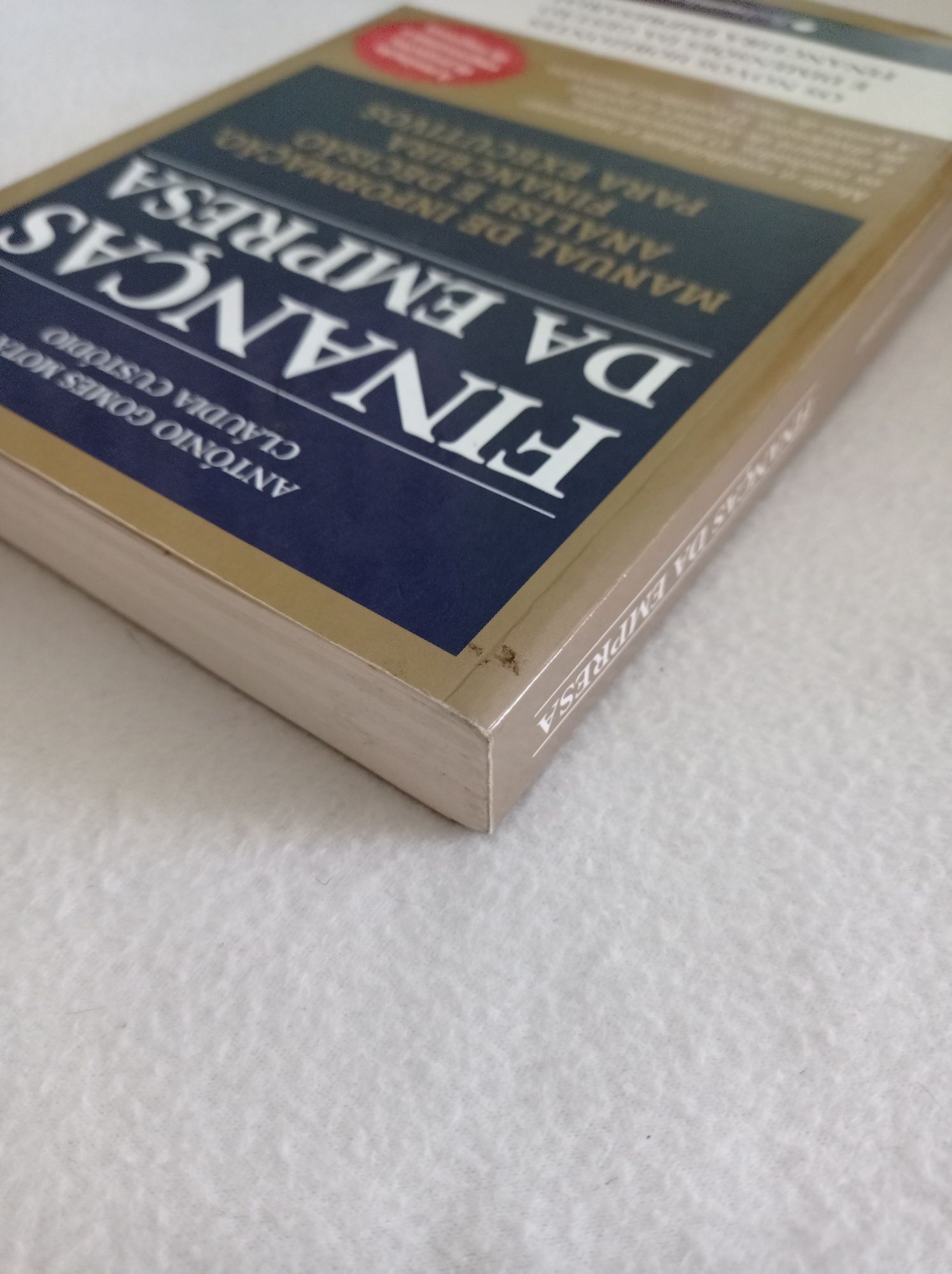 Finanças da empresa - Antonio Gomes Mota, Cláudia Custódio