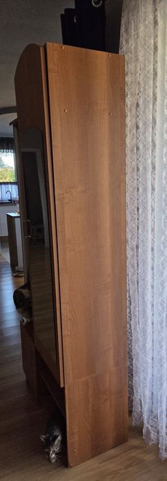 Szafa do przedpokoju z lustrem
