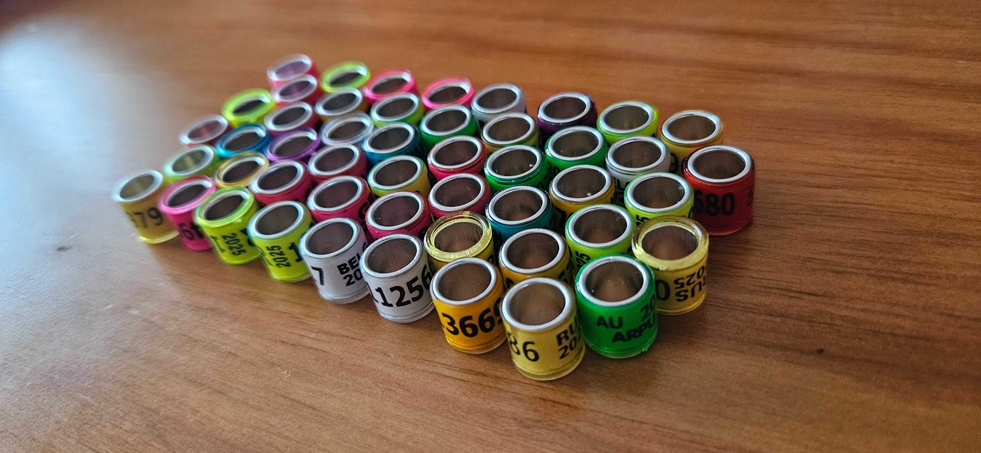 50 anilhas para Pombos 2025 - cores mistas