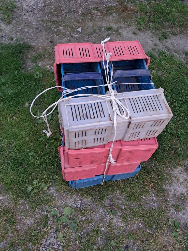 Koszyk na truskawki