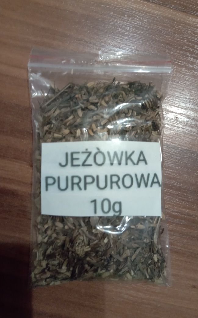 Nasiona jeżówki purpurowej