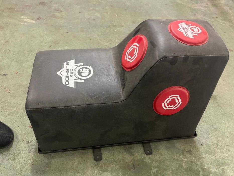 Tarcza ścienna bokserska z daszkiem Bushido DBX-W-10