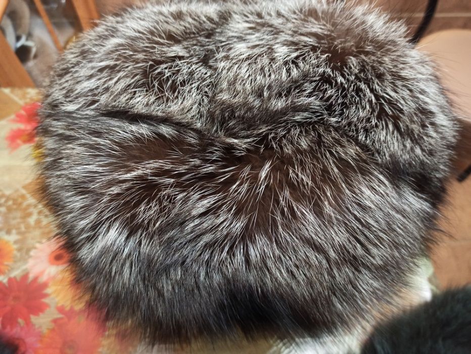 шапка из меха чернобурки. Чернобурая лисица.