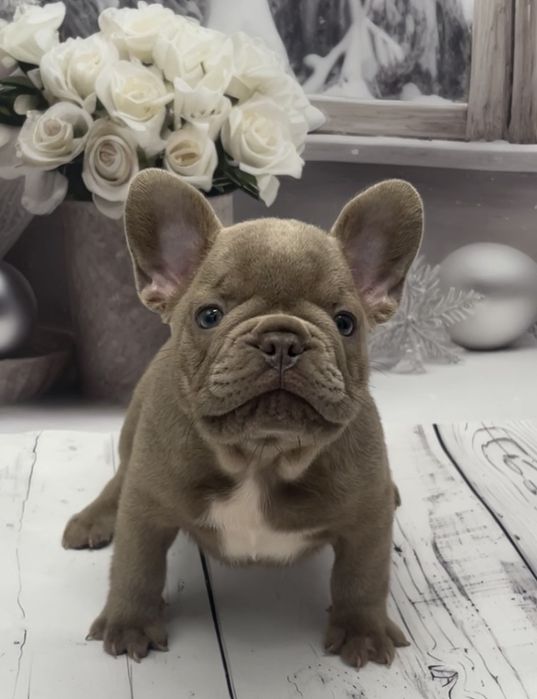 Мальчики есть выбор