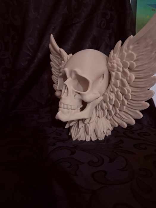 Caveira com asas/ Skull