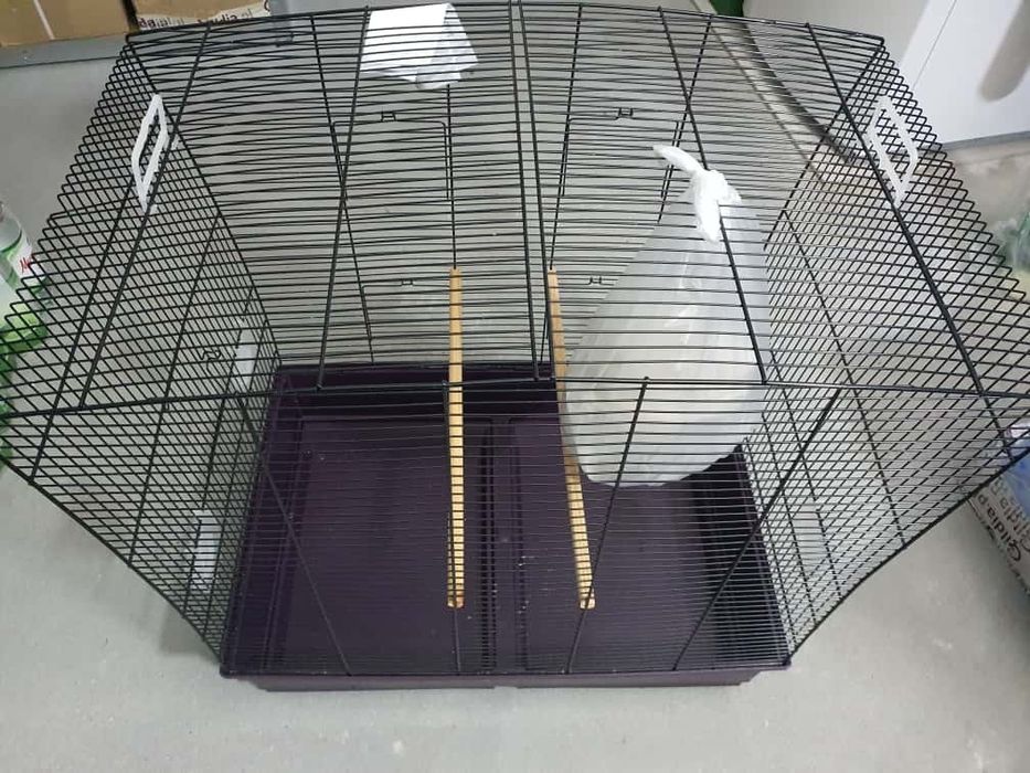 Duża przestronna klatka XXL dla ptaków dla kanarka papug