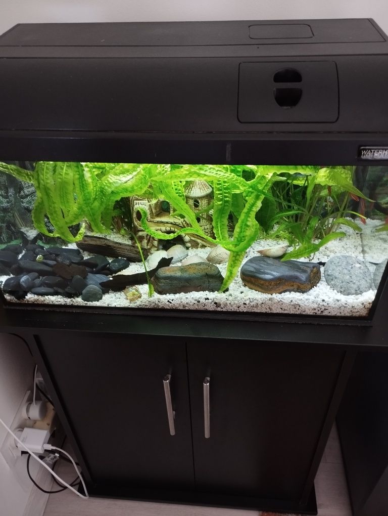 Akwarium z szafką   ok 60l