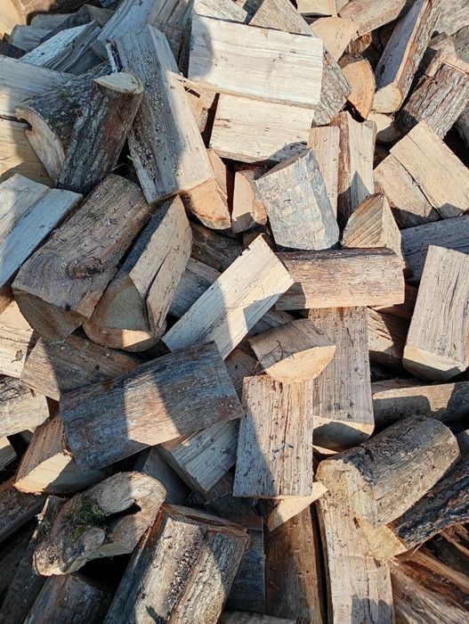 Dąb, Brzoza, Grab, Buk, Sosna, Klon- Drewno Kominkowe, Opałowe