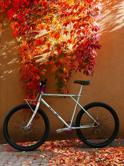 GT Palomar Chris King Garbaruk Retro Brooks