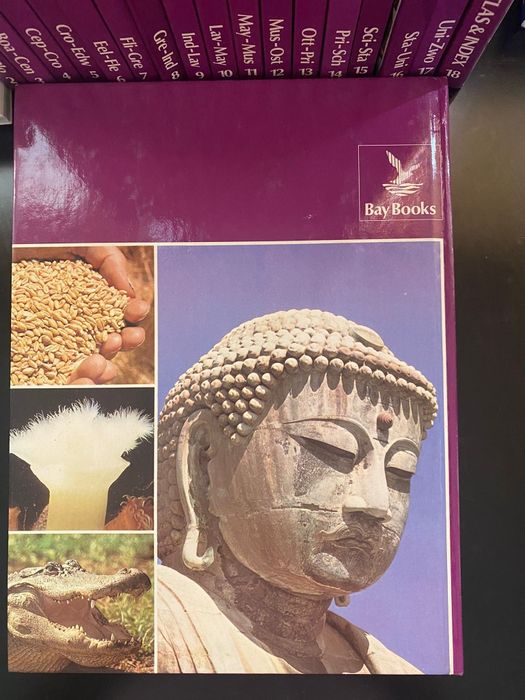 Coleção 18 VOL - The New Junior World Encyclopedia