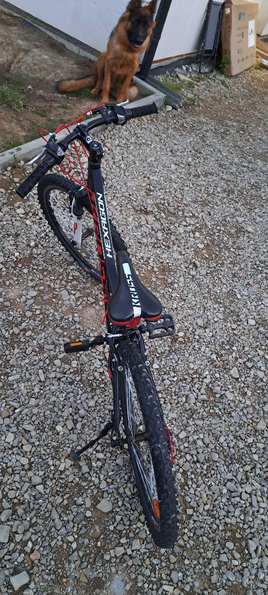 Rower KROSS REPLICA 24 cale