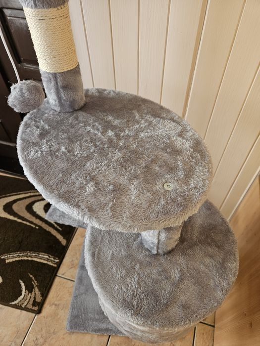 Duzy drapak dla kota