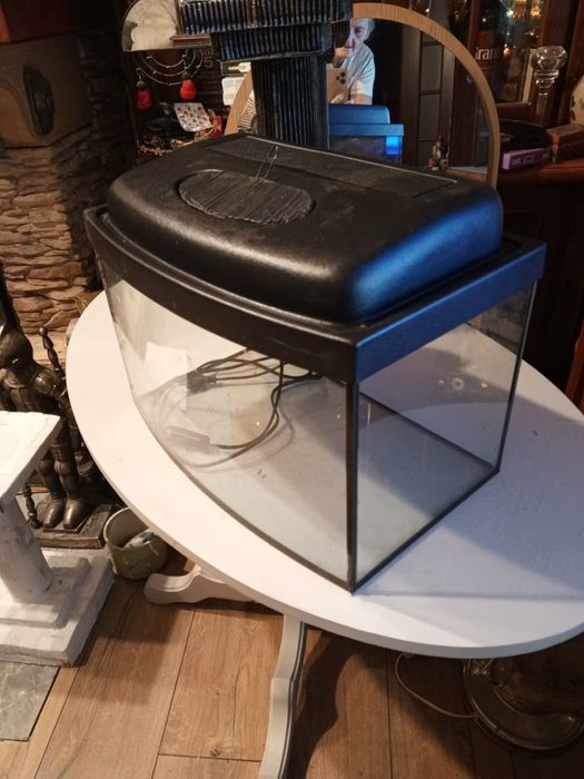 Akwarium panoramiczne