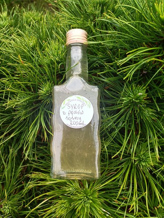 Syrop z pędów sosny 200 ml