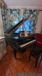 Vendo Piano Cauda Feurich