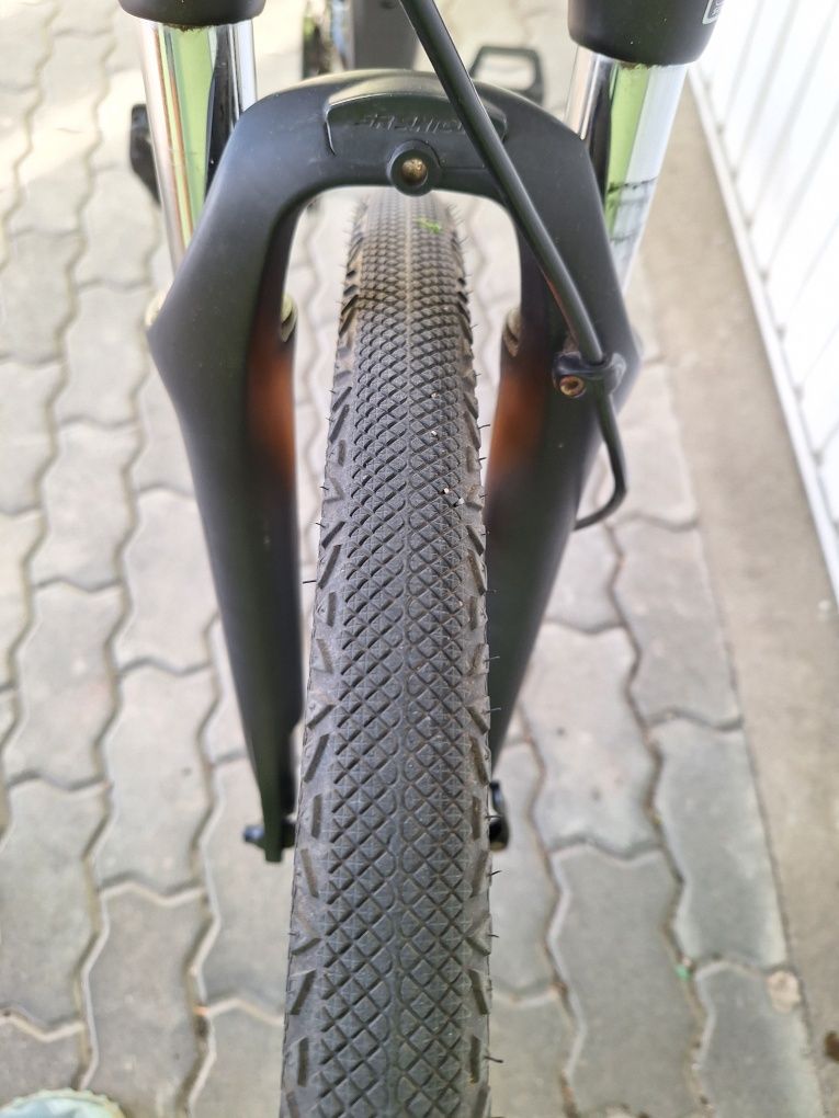 GIANT Roam 2, rama L