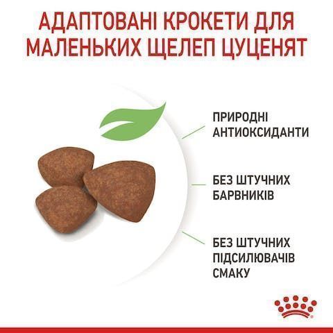 Royal Canin Mini Puppy 0,8кг